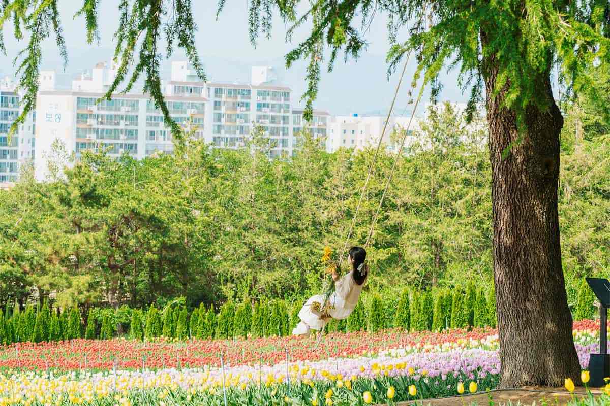 Daegu-E-World-Tulip6.jpg