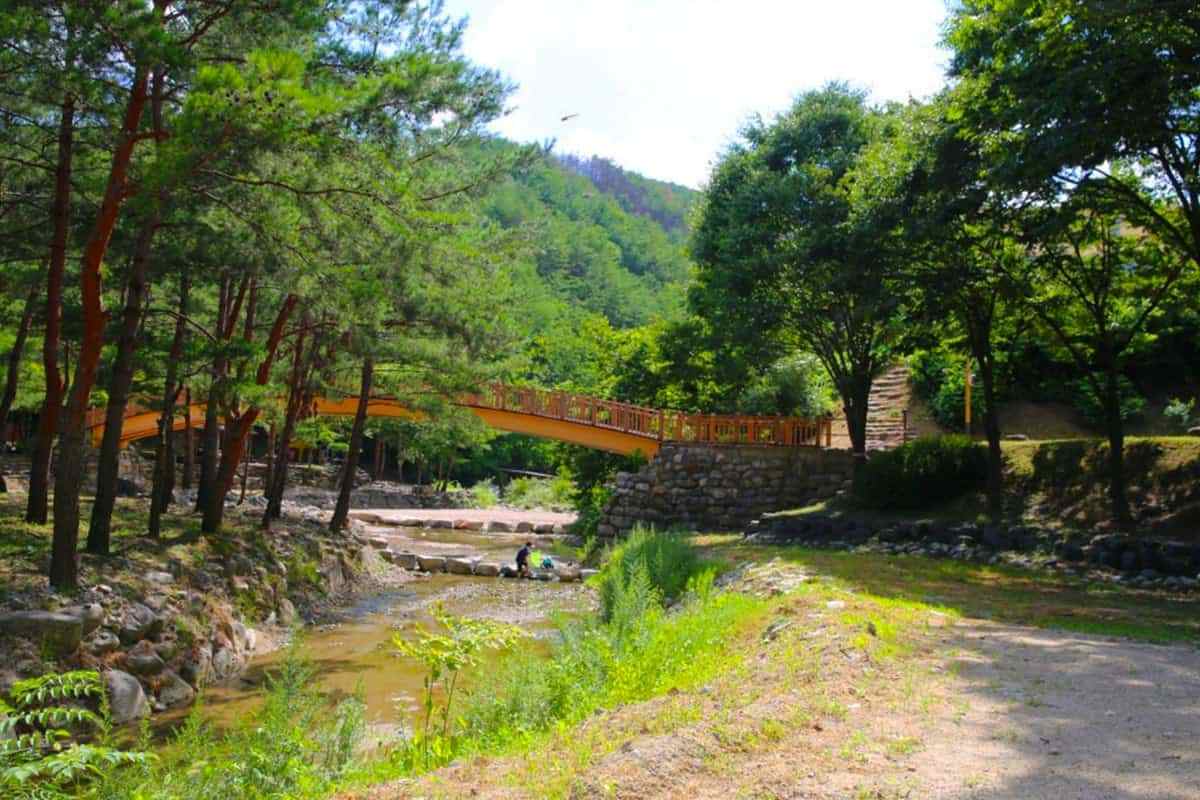 Uljin-Gusugok-Recreation-Forest-2-%EB%B3%B5%EC%82%AC%EB%B3%B8.jpg