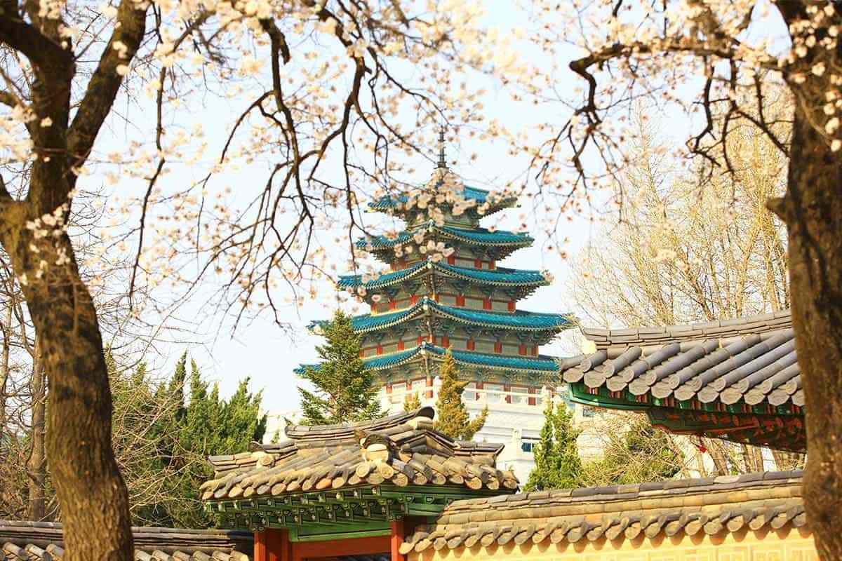 Seoul-spring-attractions2.jpg