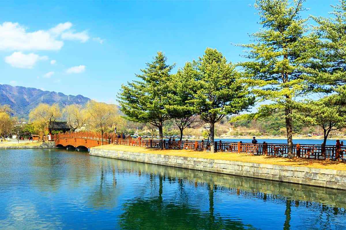 Jecheon-spring-travel-destination1.jpg