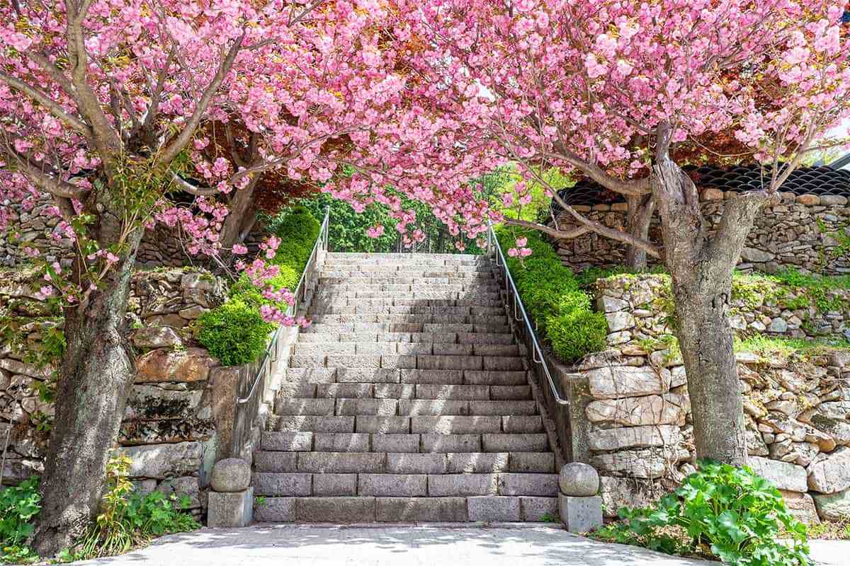Gyeongnam-spring-travel-destination2.jpg