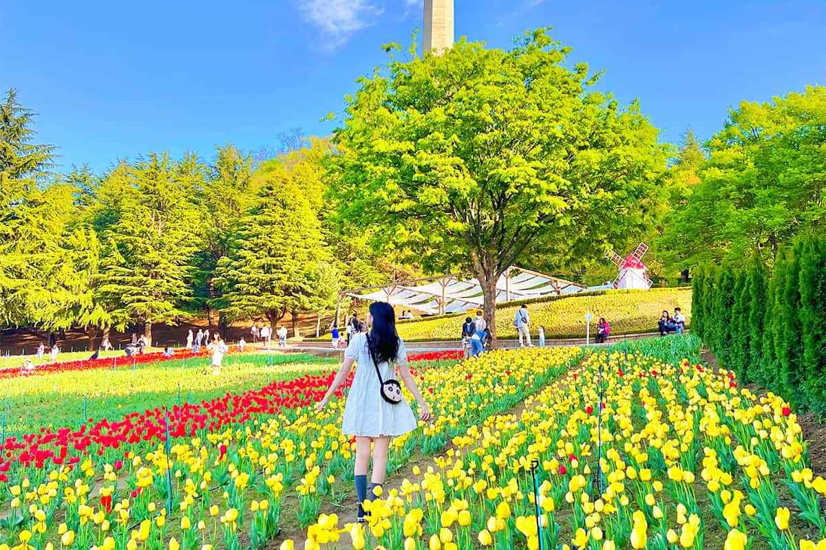 Daegu-E-World-Tulip4.jpg