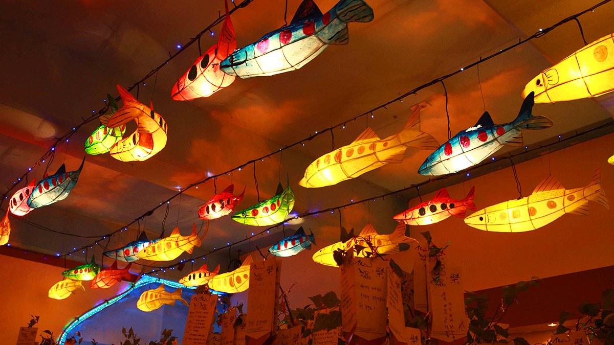 Hwacheon Sancheoneo Festival3.jpg