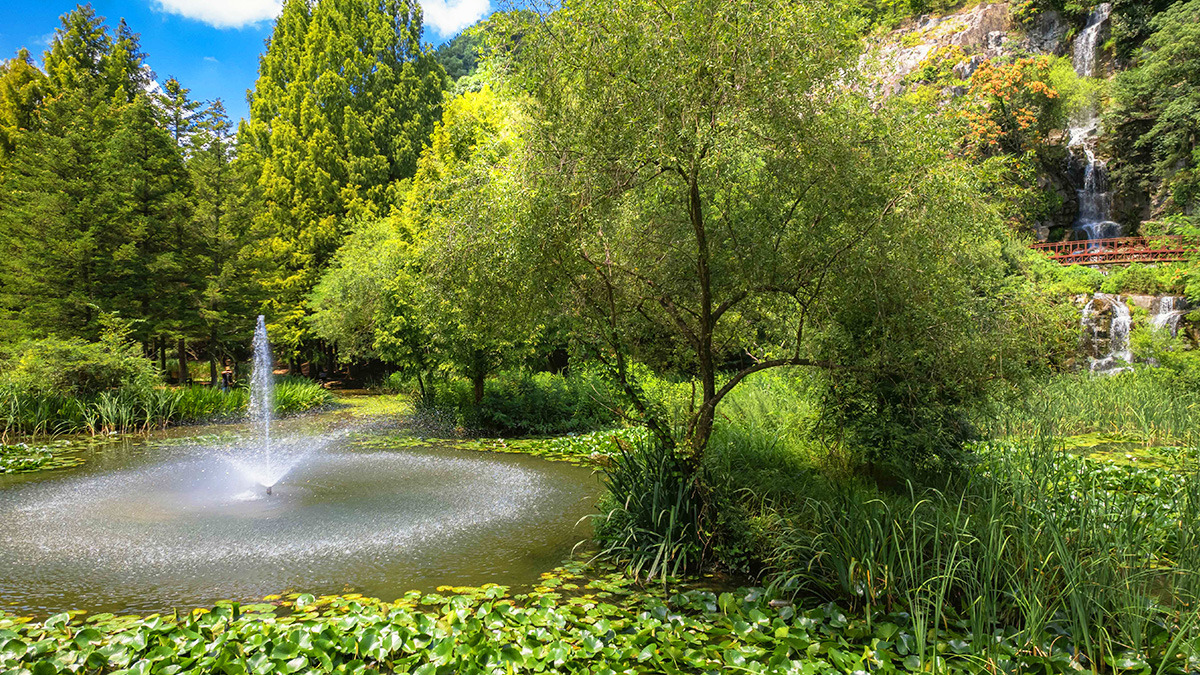 Fall at Naksangmulgil Park2.jpg
