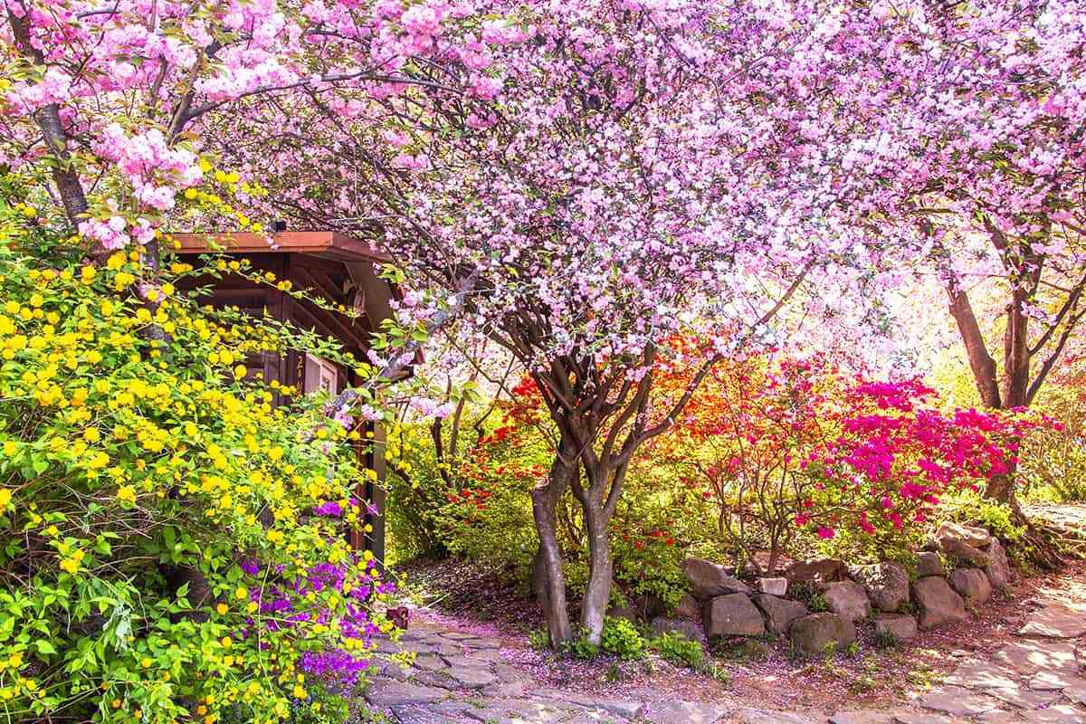 Free-spring-attractions-in-Jeonju3.jpg