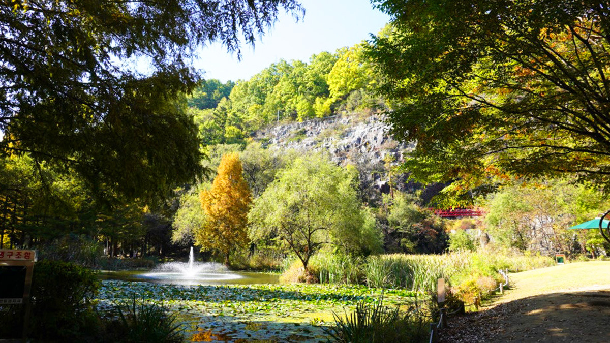 Fall at Naksangmulgil Park5.jpg