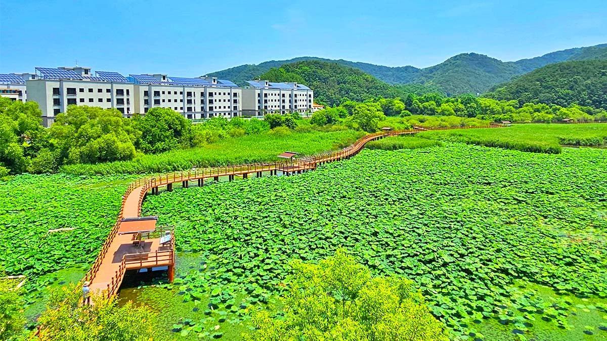 Jeongyang-Swamp-Ecological-Park-4.jpg
