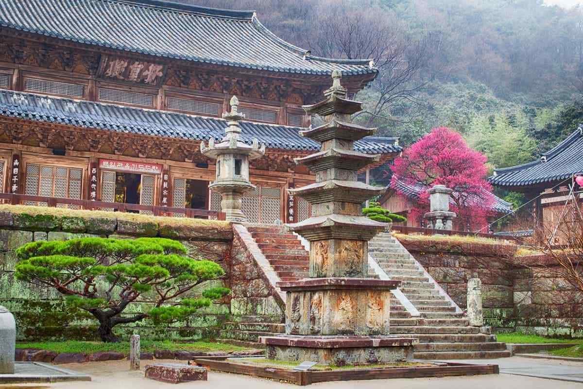 Hwaeomsa-Hongmaehwa-5.jpg