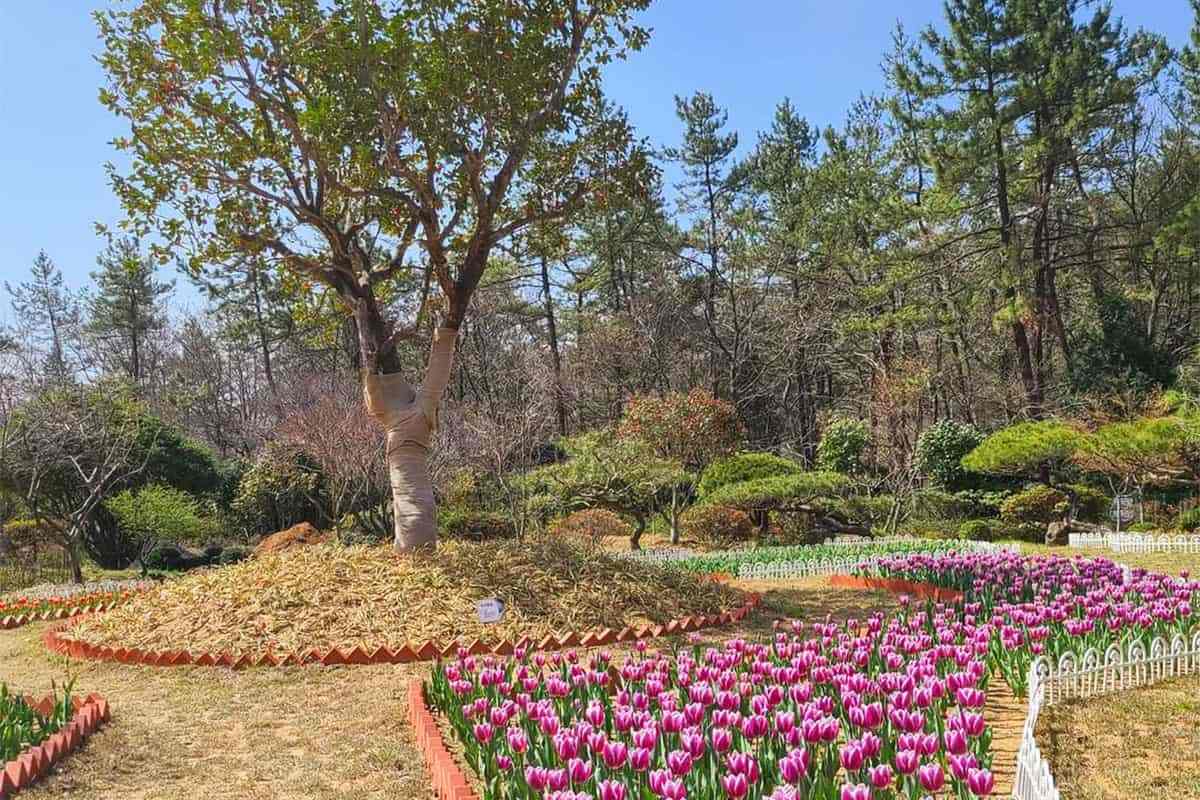 Jangheung-Sky-Blue-Tree-Garden4.jpg