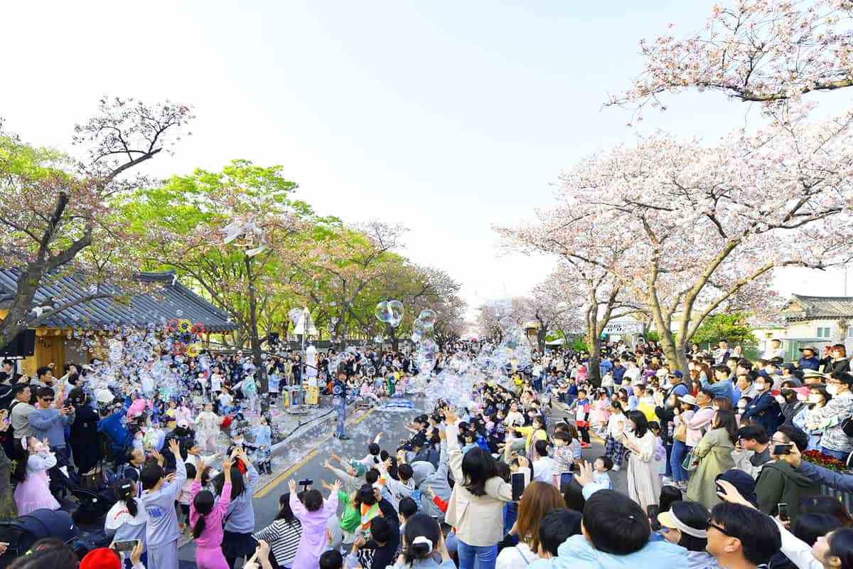 Gyeongju-Cherry-Blossom-Festival3.jpg