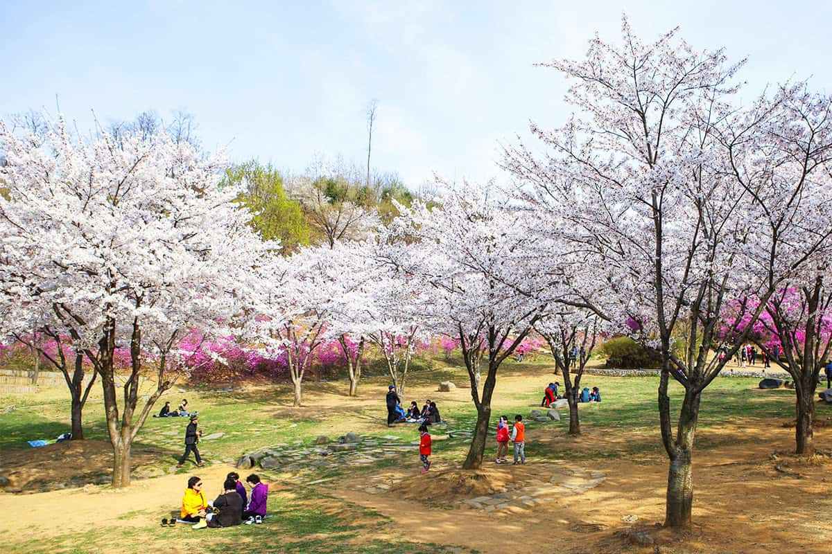 Bucheon-Spring-Festival2.jpg