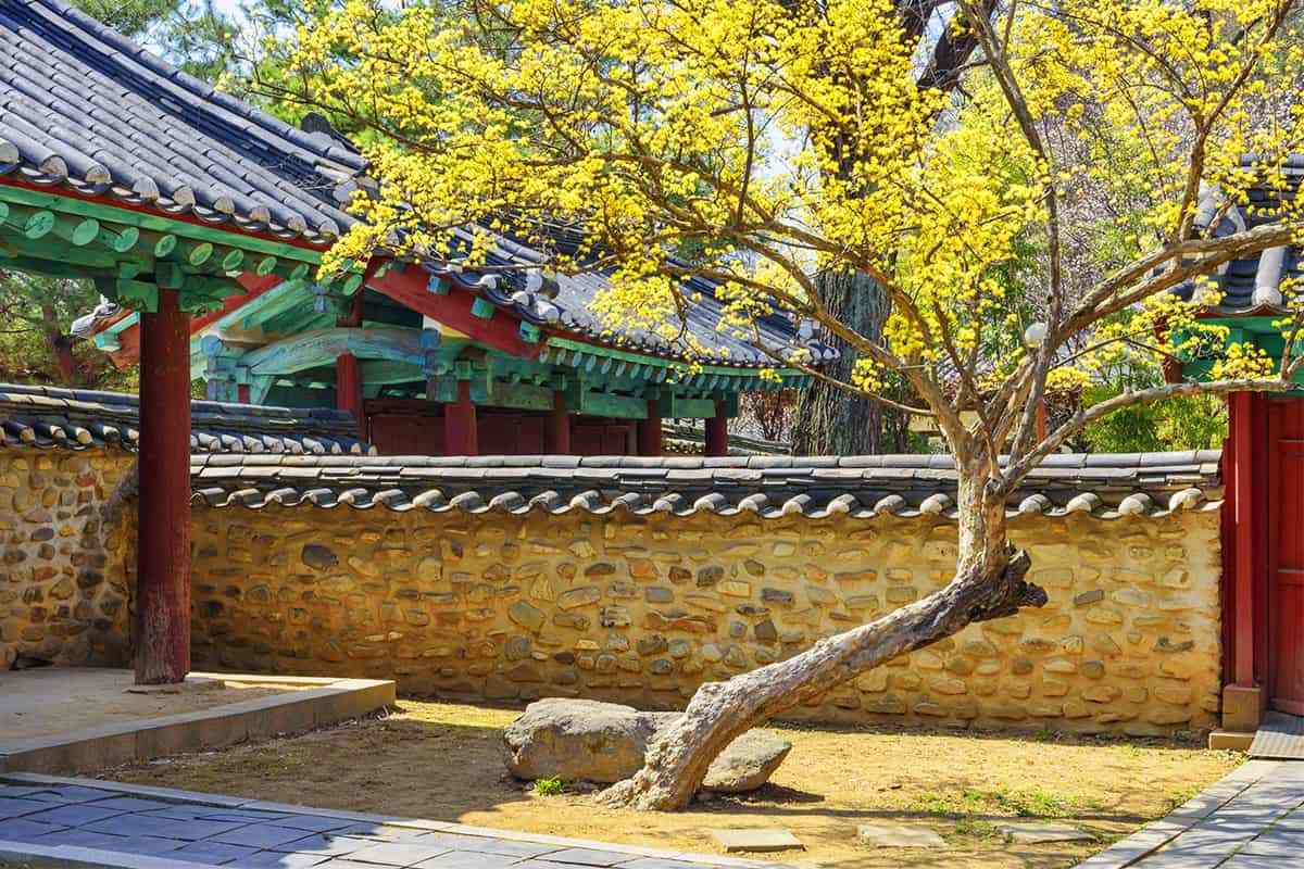 Free-spring-attractions-in-Jeonju5.jpg