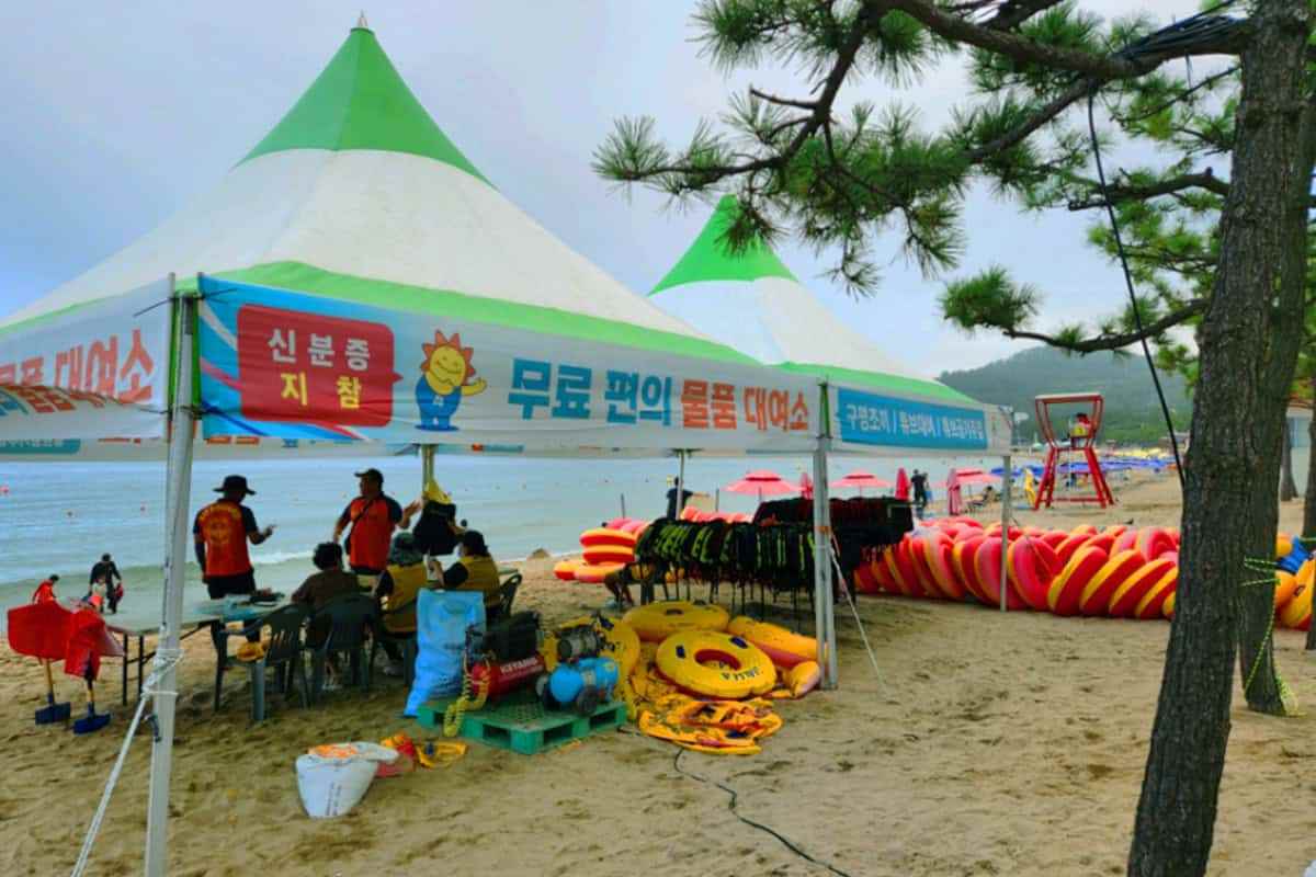 Jinha-Beach-1.jpg
