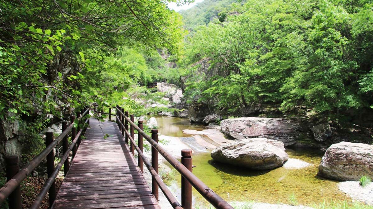 juwangsan-national-park-summer-trails6.jpg