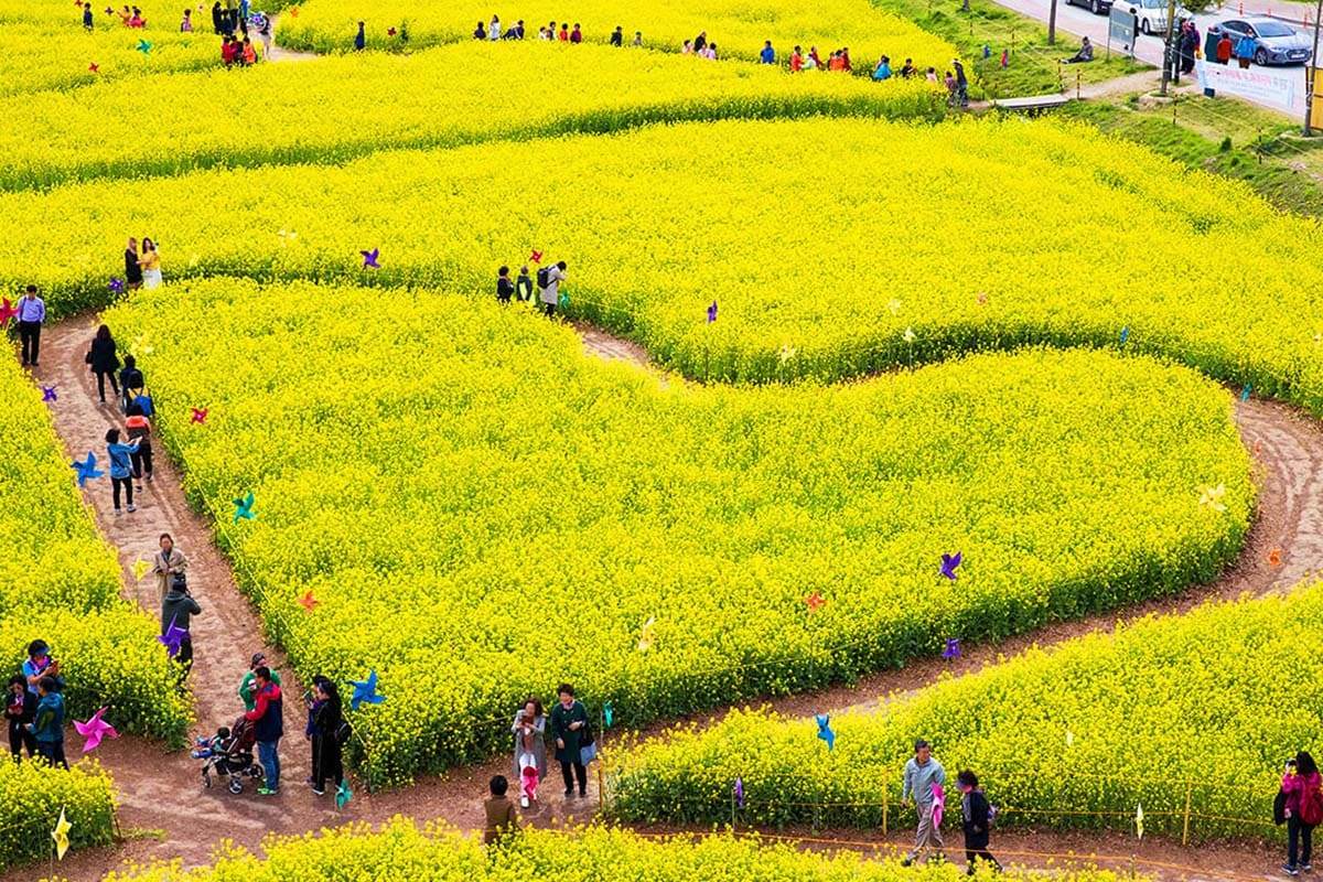 Busan-Spring-Flower-Land-4-1.jpg