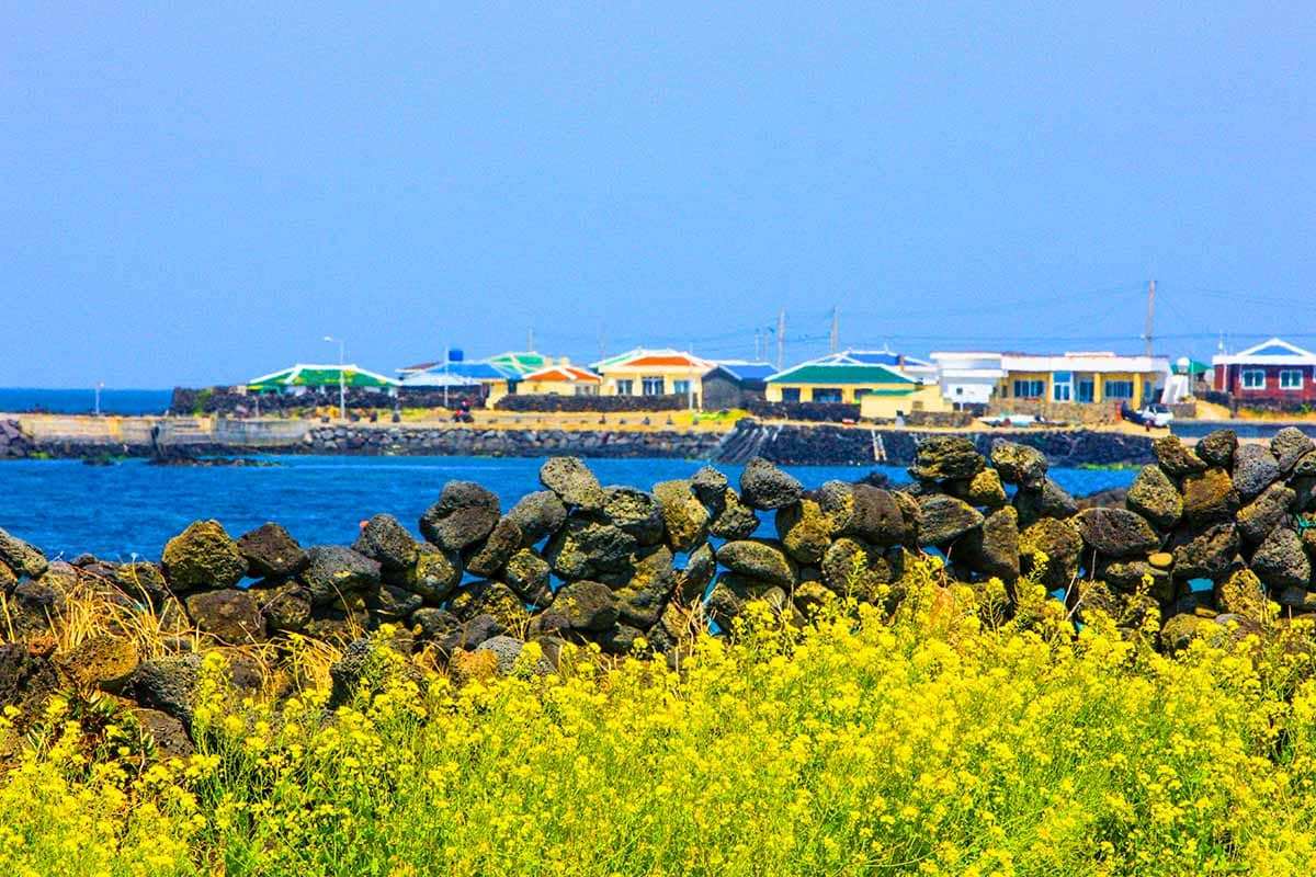 Jeju-Islands-Spring-Island-Travel-Area-3.jpg