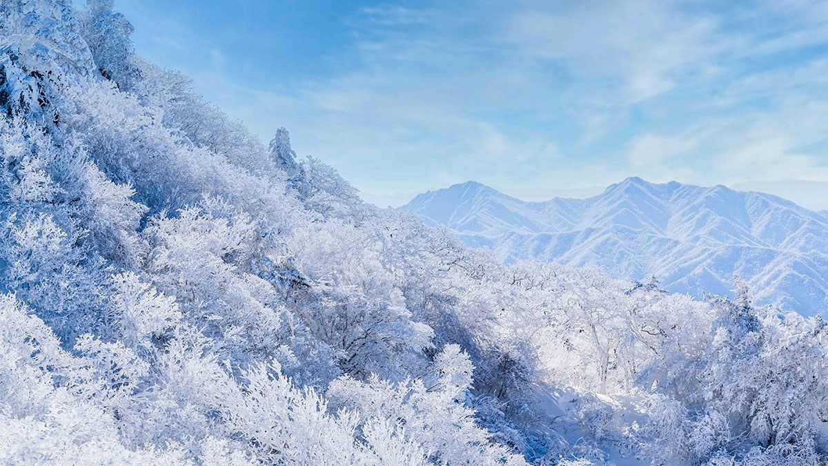 Mt. Muju Deogyusan Snow Cover4.jpg
