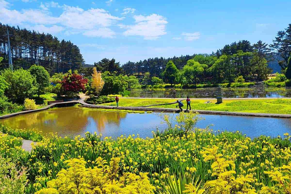 Cheonripo-Arboretum-With-Spring-Flowers-1.jpg