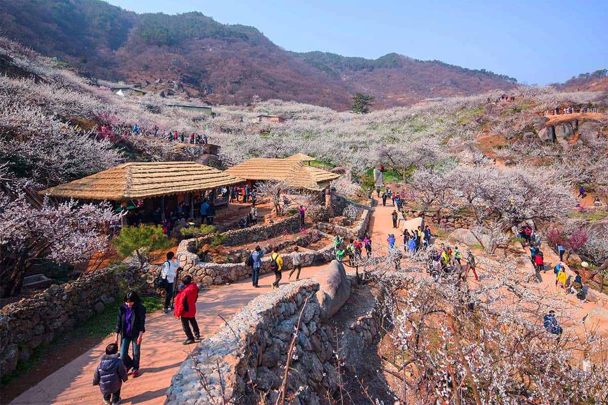Gwangyang-Baekunsan-Mountain-Trail.jpg