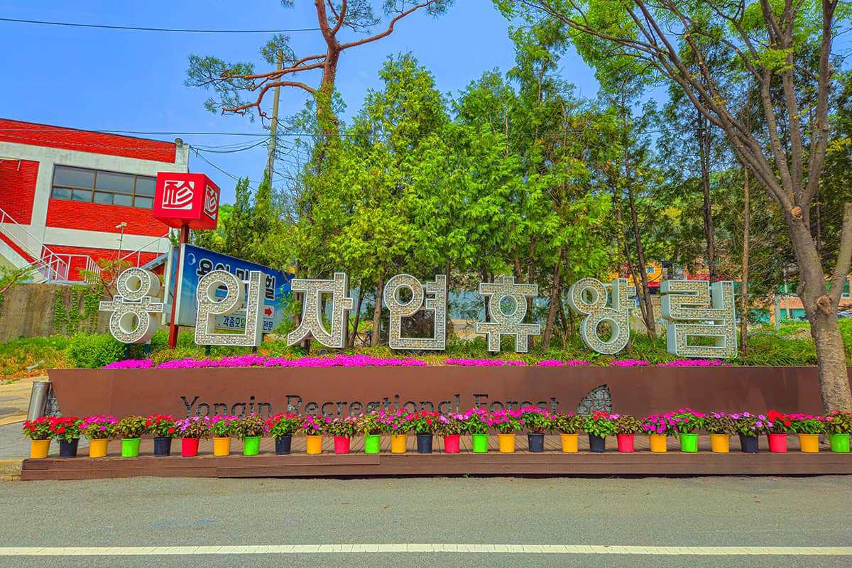Yongin-Natural-Recreation-Forest-1.jpg