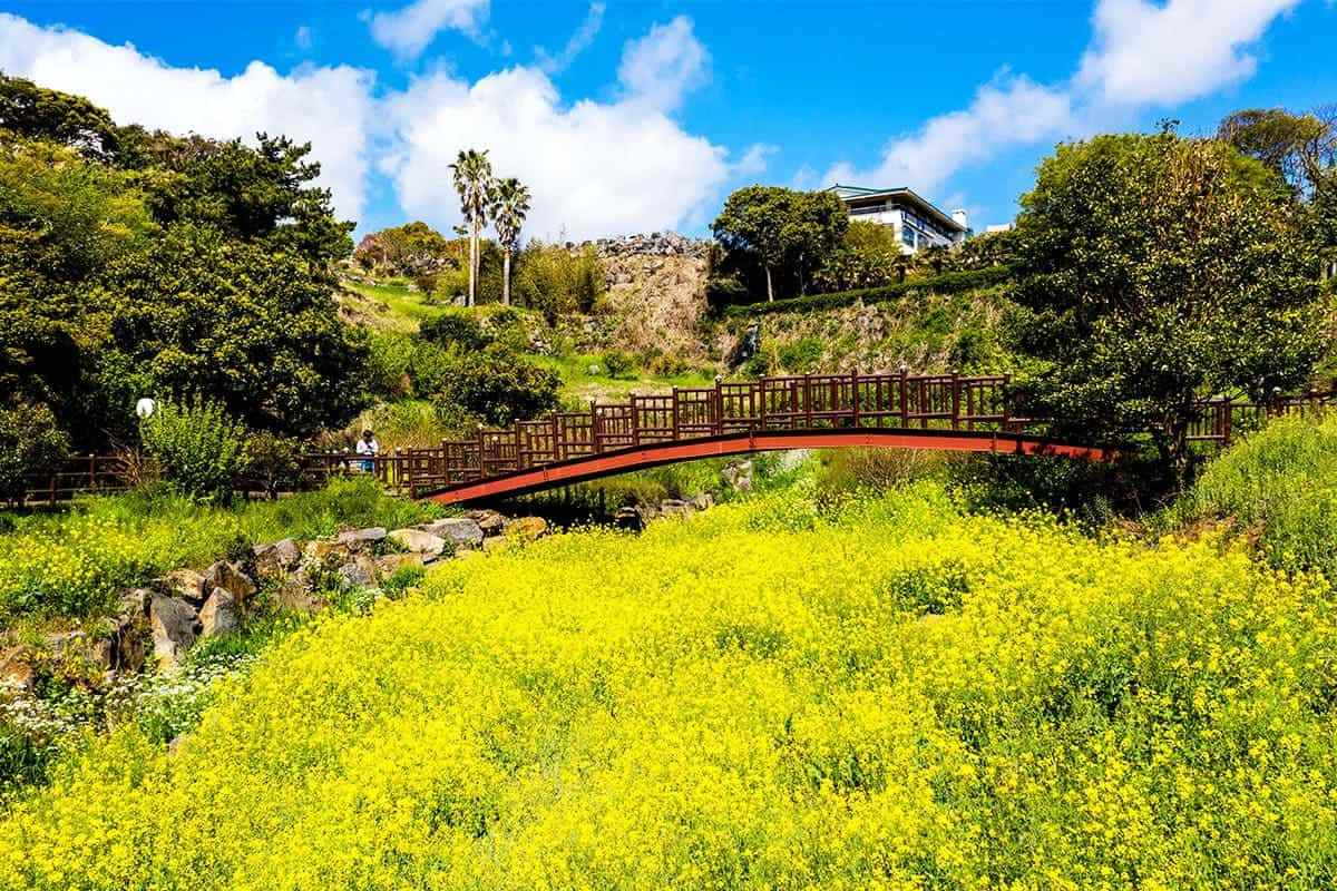 Jeju-healing-travel-destination5.jpg