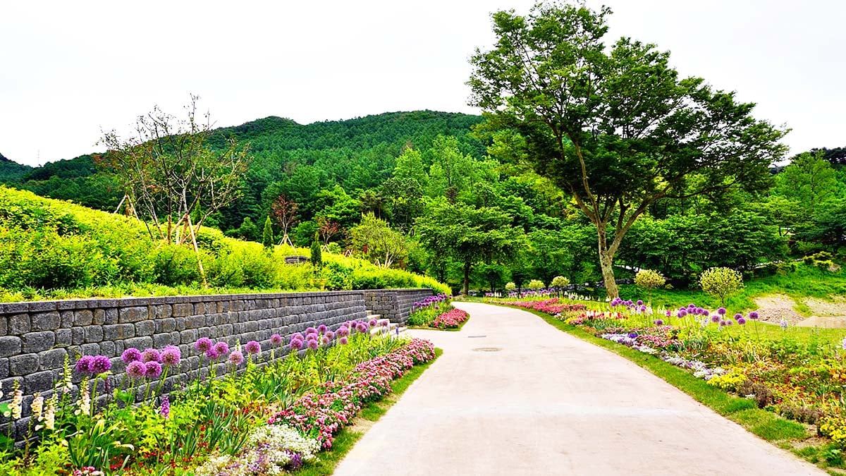 eumseong-bonghakgol-forest-bathing-area5.jpg