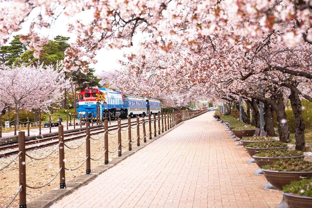 Seosan-Retro-Romantic-Train1.jpg