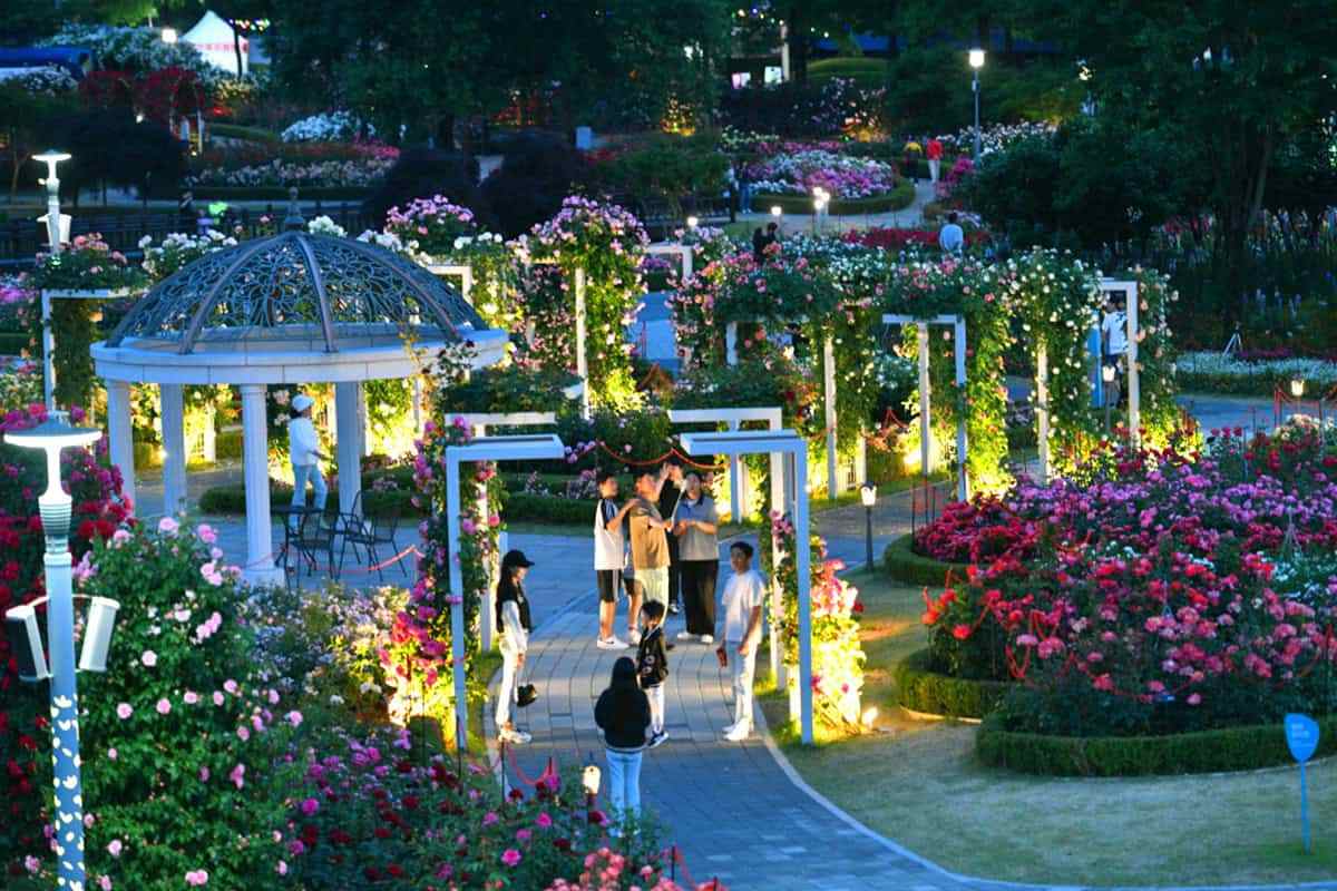 Gokseong-Rose-Festival-5.jpg