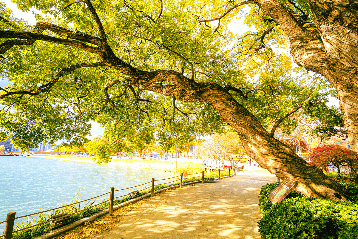 Daegu outing attractions4.jpg