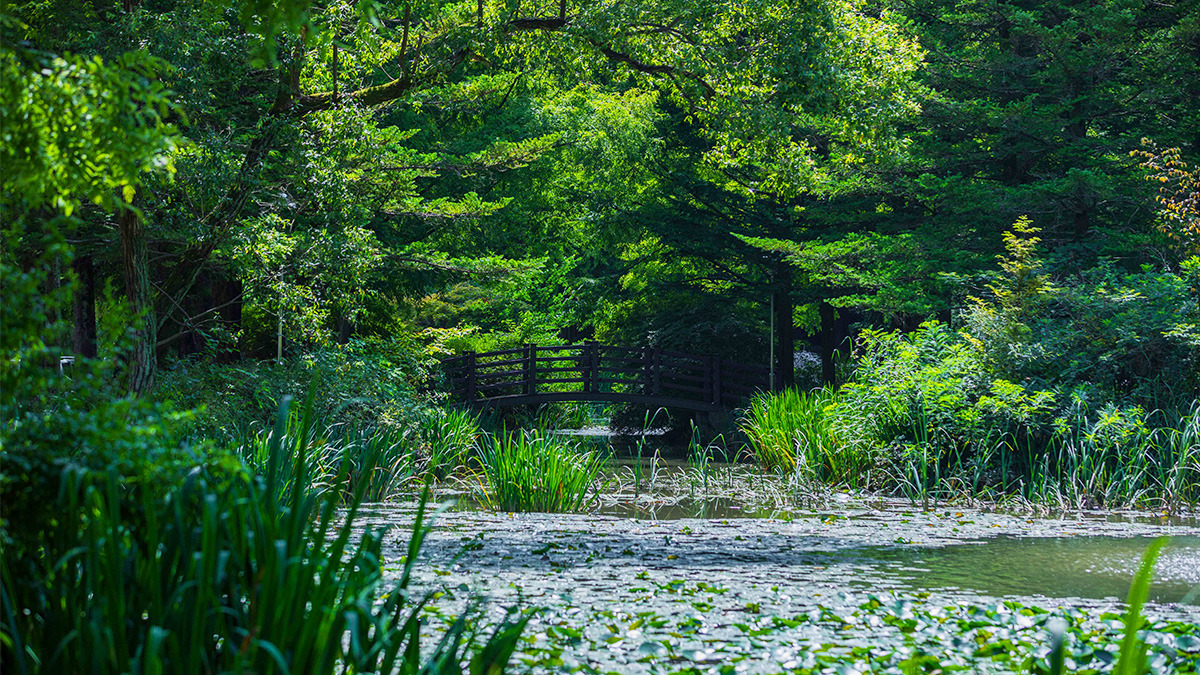 Fall at Naksangmulgil Park6.jpg
