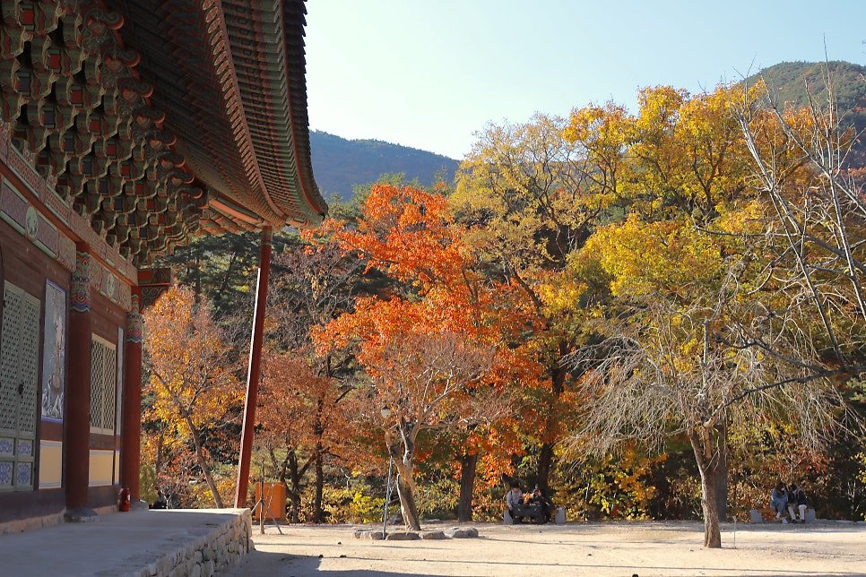 12 한고운 기자단.jpg