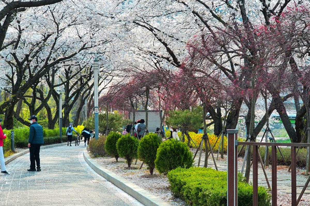 제목 없음-1234567.jpg