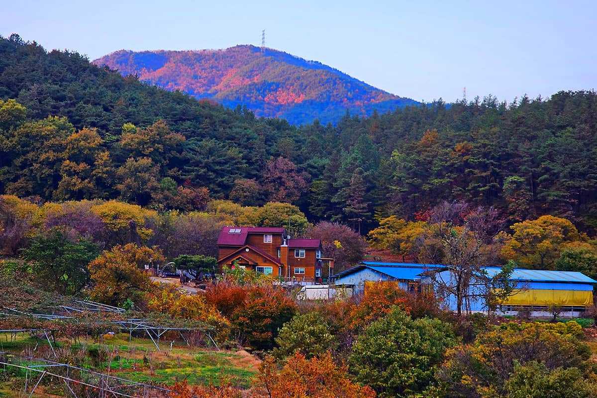 Gwangyang-Baekunsan-Mountain-Trail-2.jpg