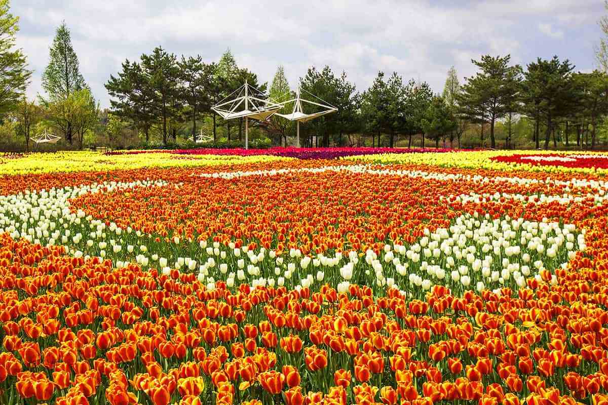 Cheongju-Munam-Ecological-Park2.jpg