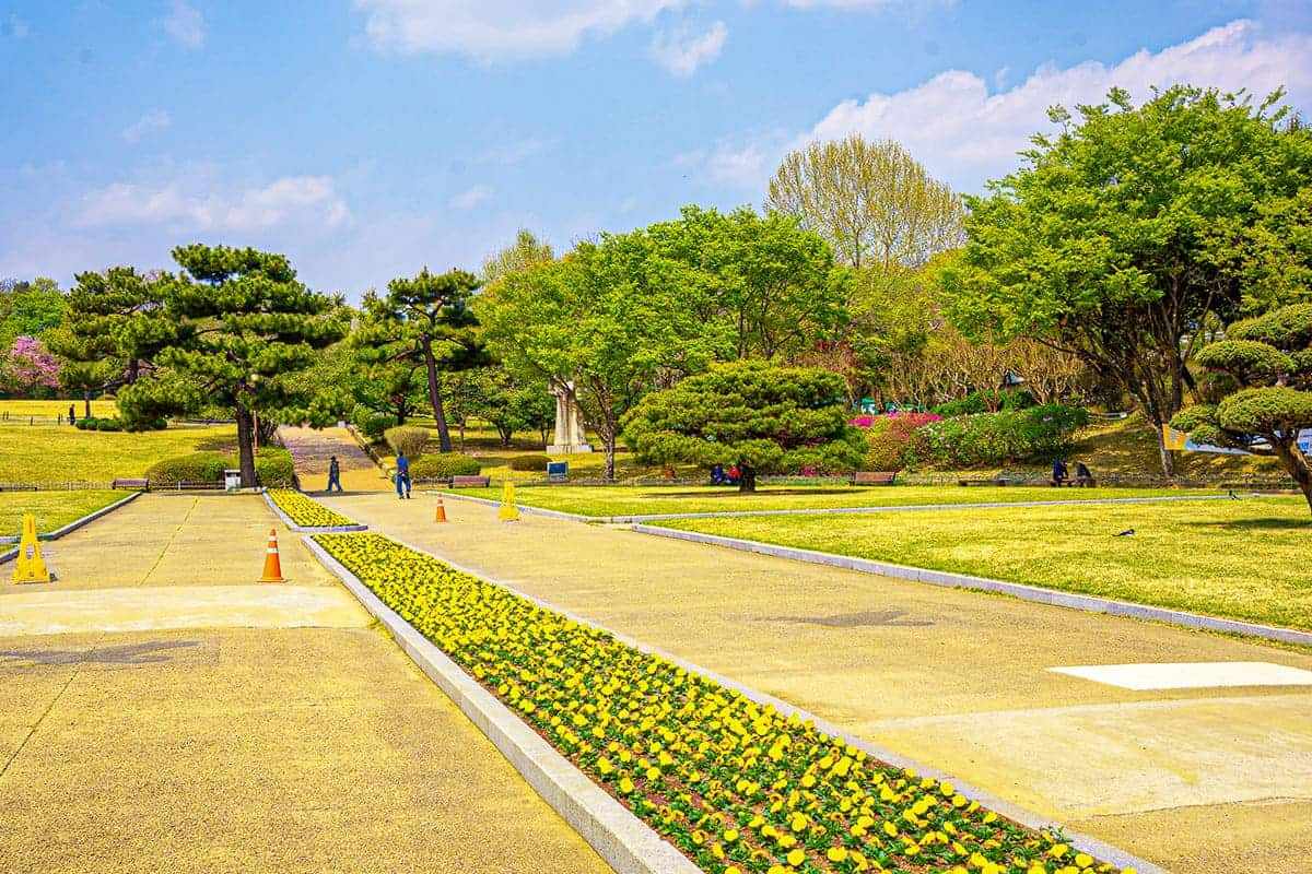 Daegu-Dalseong-Park1.jpg