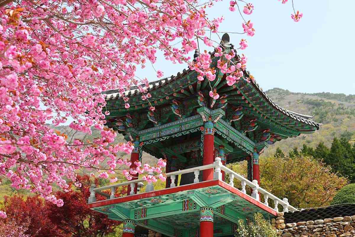 Gyeongnam-spring-travel-destination6.jpg