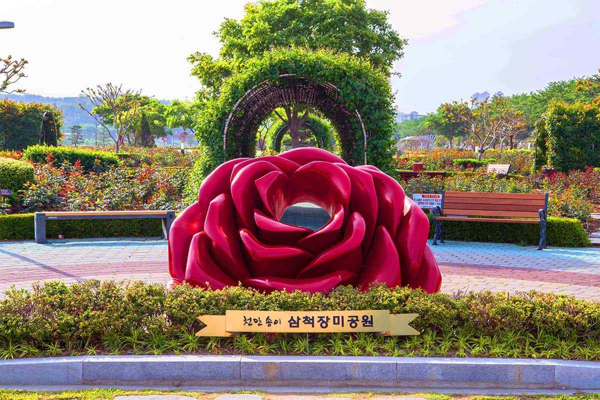 Samcheok-Rose-Festival-4.jpg
