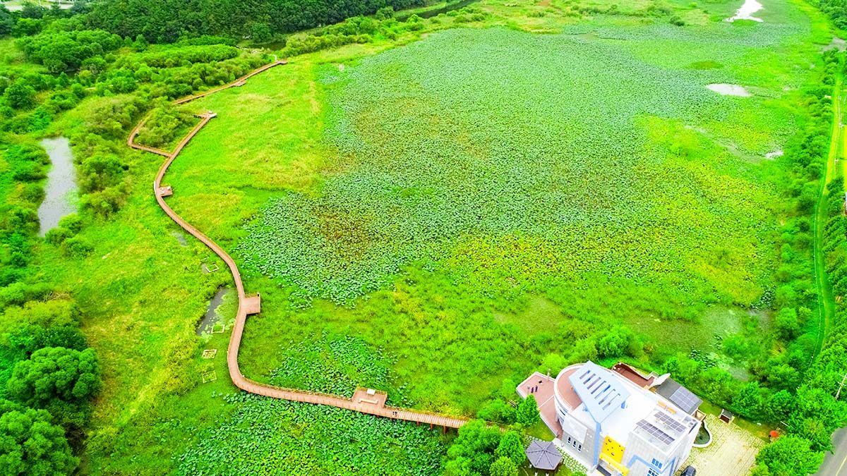 Jeongyang-Swamp-Ecological-Park-2.jpg