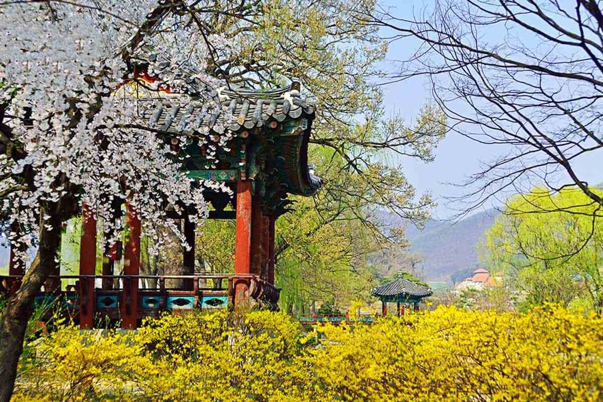 Cheonan-spring-travel-destination4.jpg