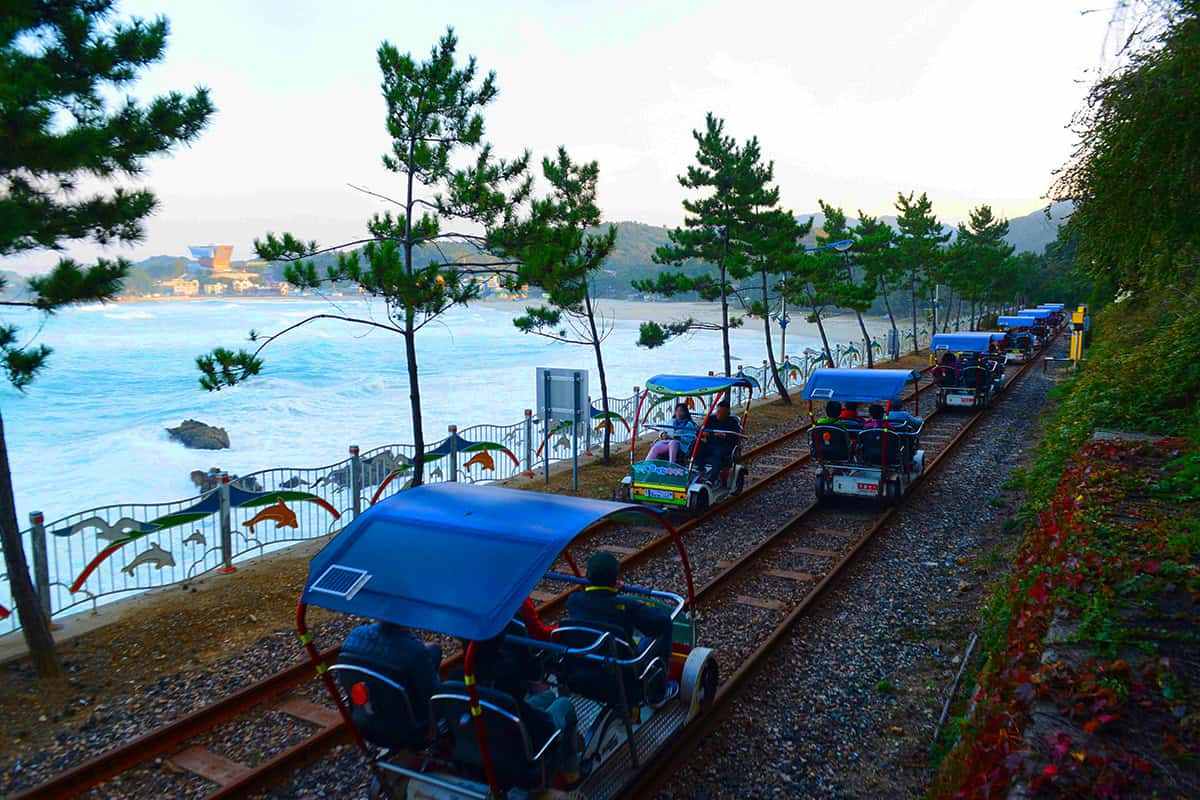 Samcheok-travel-5.jpg