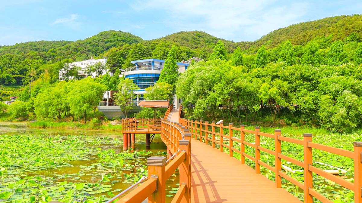 Jeongyang-Swamp-Ecological-Park-3.jpg