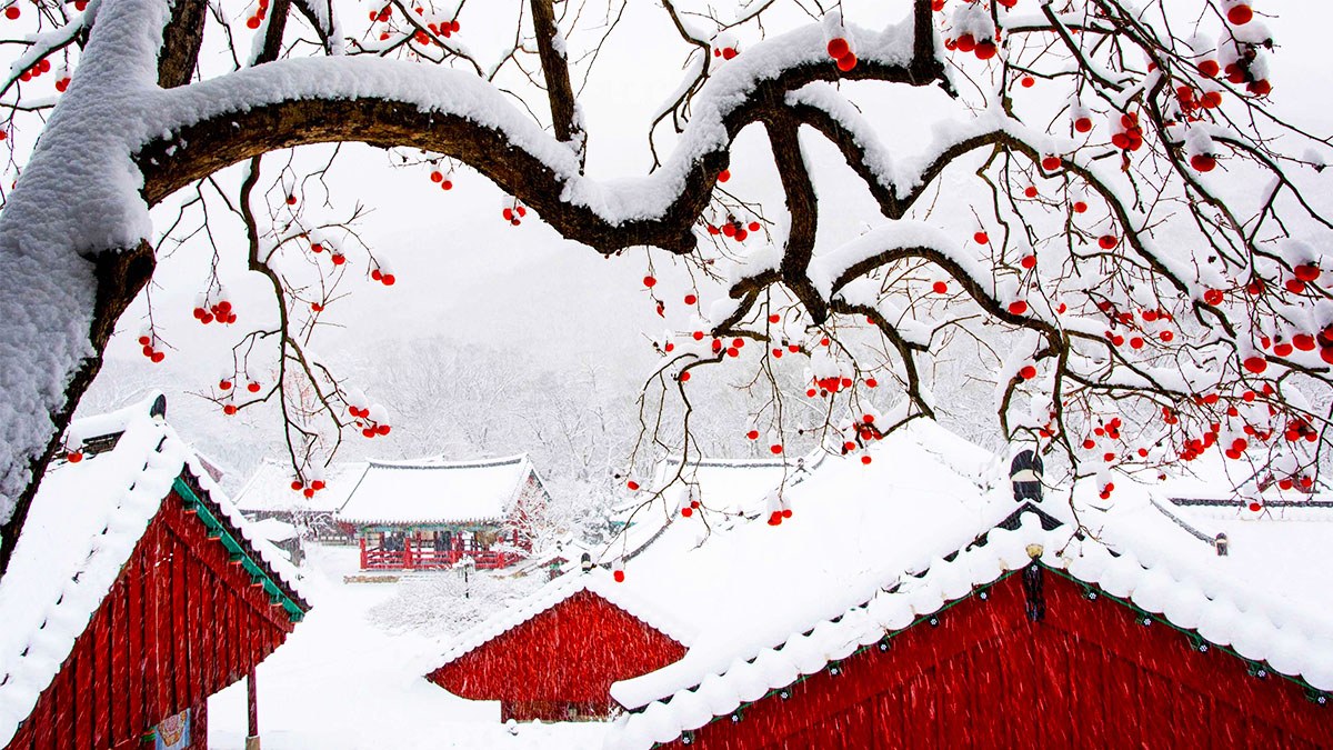 Seonunsa Temple a famous snowy spot.jpg