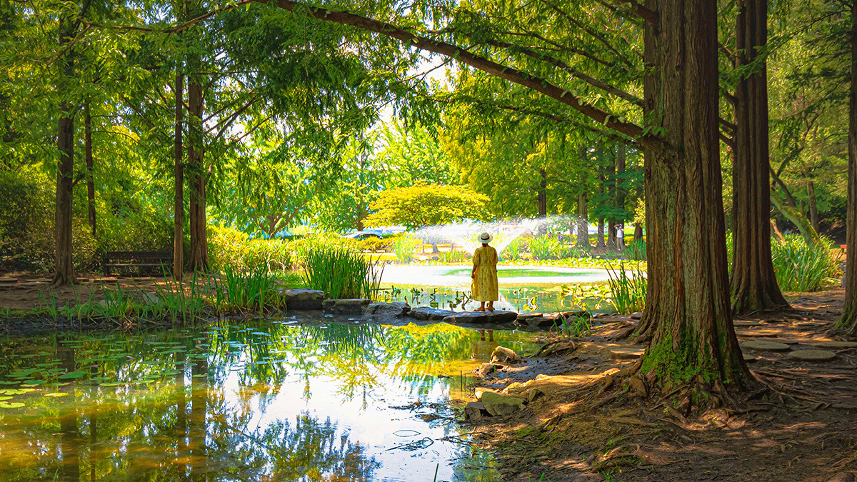Fall at Naksangmulgil Park1.jpg
