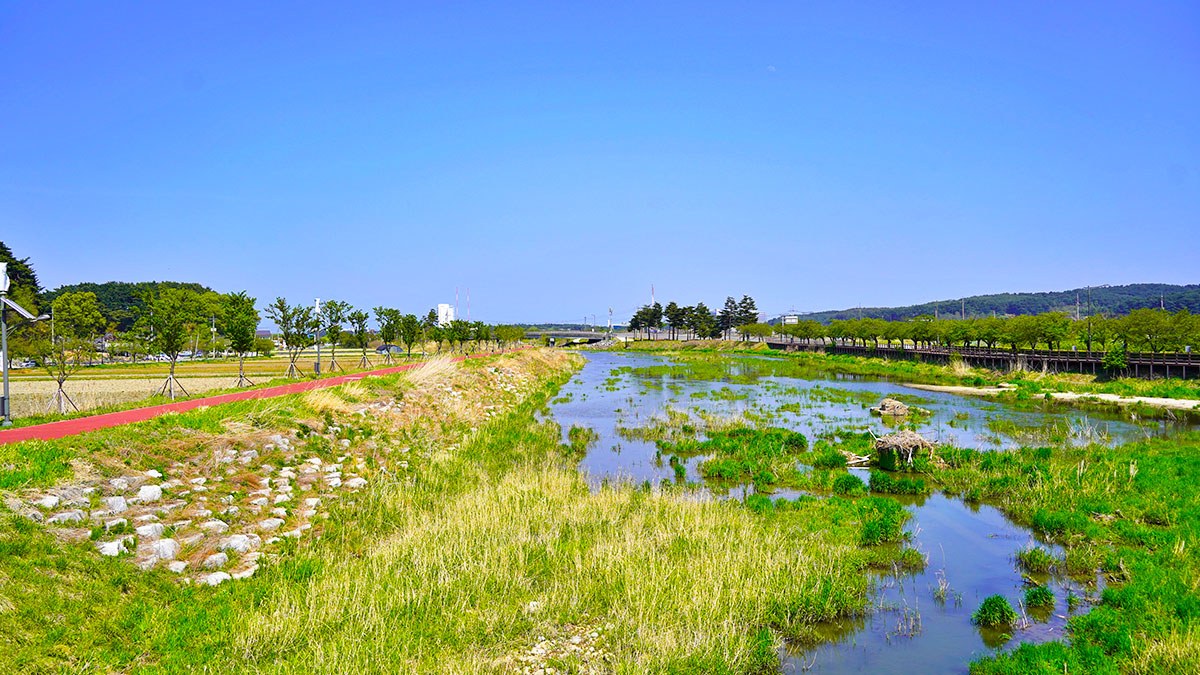 Gyeongpo-Ecological-Reservoir-6.jpg