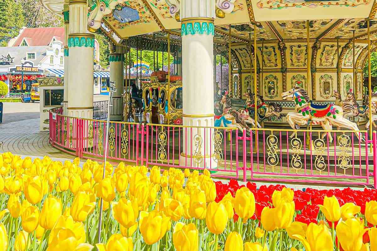 Daegu-E-World-Tulip5.jpg