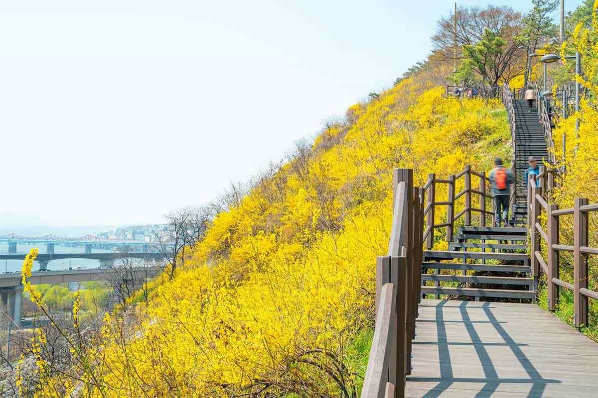 Eungbongsan-Mountain-in-Seoul4.jpg