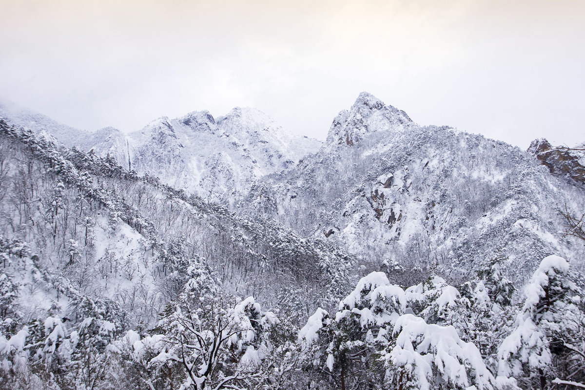 Sokcho Healing Spots in Winter5.jpg