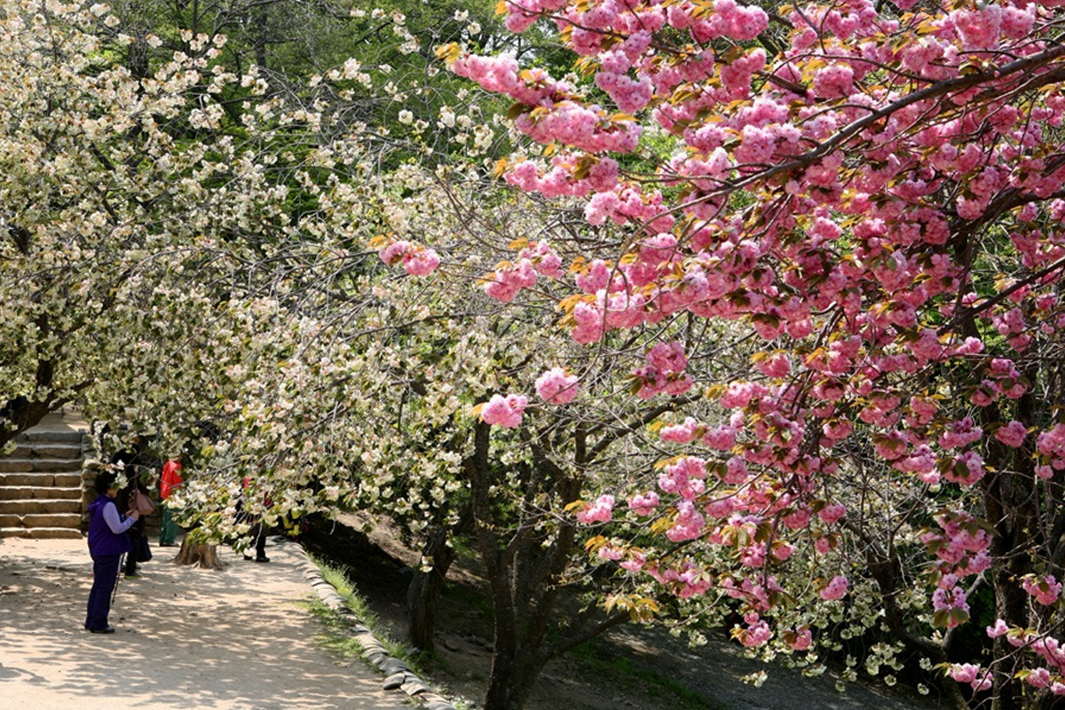 제목 없음-12.jpg