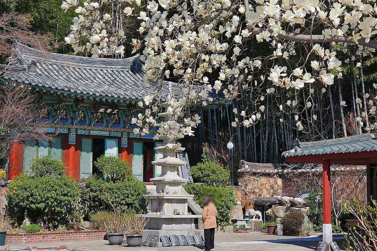 Busan-Seongamsa-Temple3.jpg
