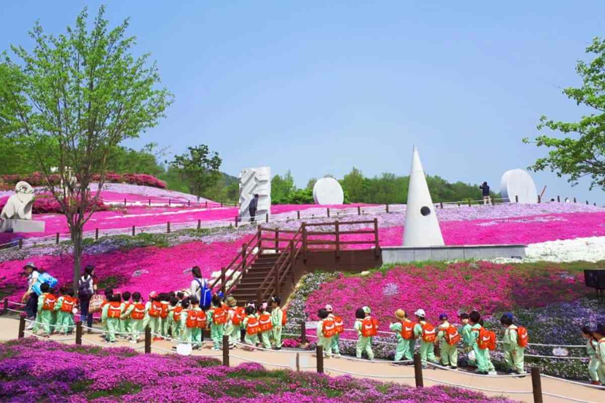 Sancheong-Flower-Grass-Festival1.jpg